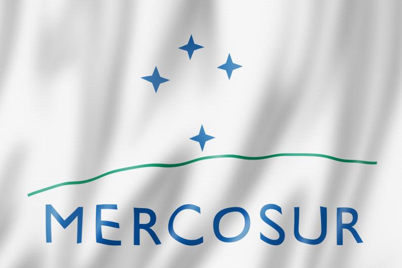 Tudo o que precisa de saber sobre o Mercosul e a sua tradução multilingue